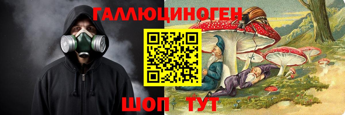 Псилоцибиновые грибы GOLDEN TEACHER Красноярск