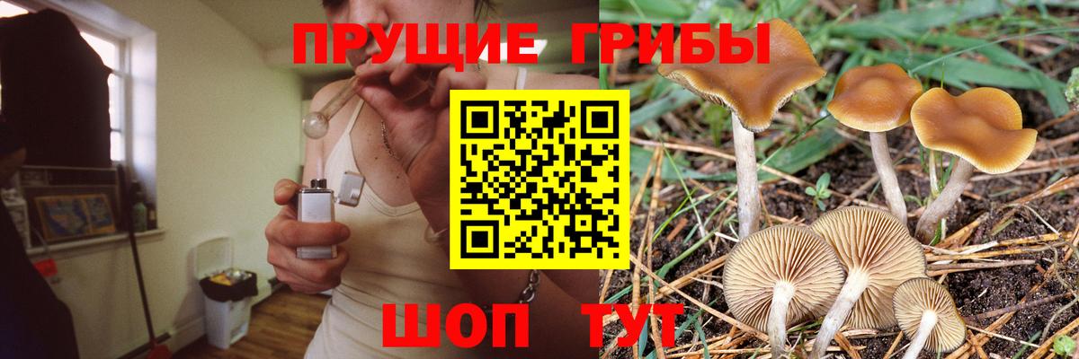 Красноярск  Псилоцибиновые грибы GOLDEN TEACHER  Вход с VPN 